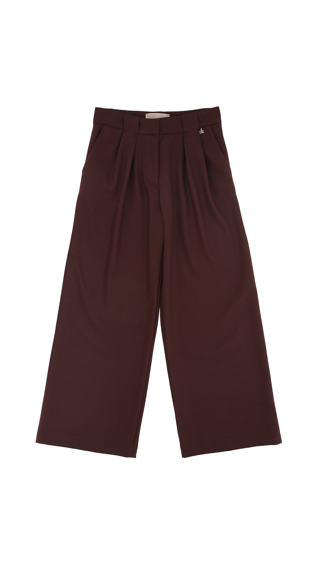 Pantaloni In Lana Wide Leg con Pinces